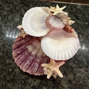 Decorative Seashell and Pearl Display